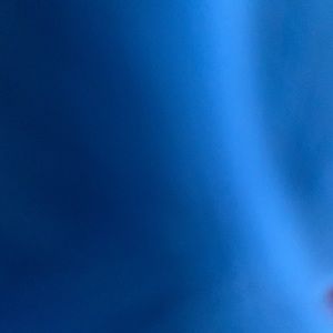 Meet your Posher, Anne